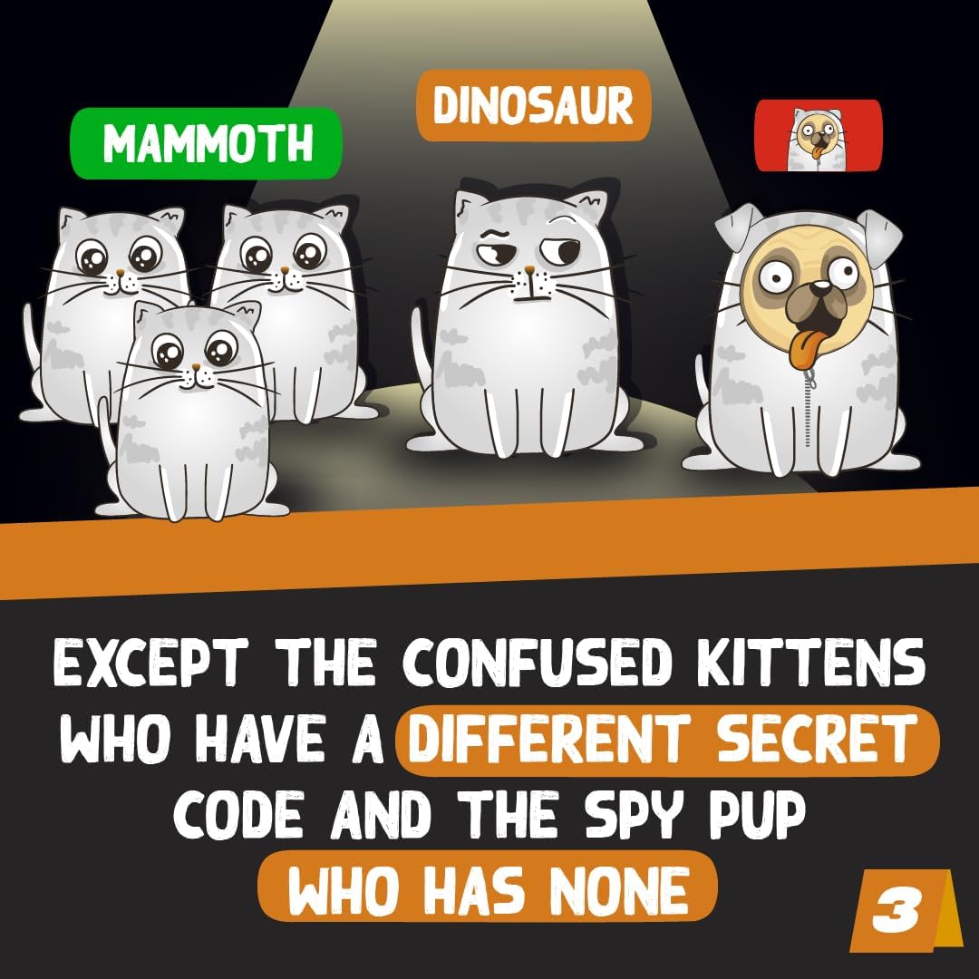 EN - Little Secret x Exploding Kittens